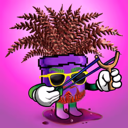 FernDaddy #373