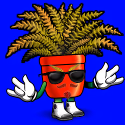 FernDaddy #2757