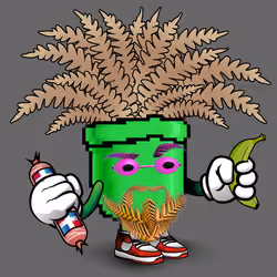 FernDaddy #87