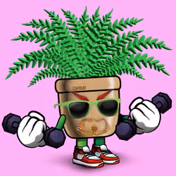 FernDaddy #85