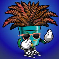 FernDaddy #374