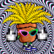3326