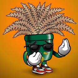 FernDaddy #2901
