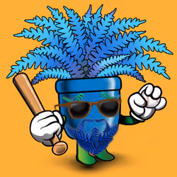 FernDaddy #463