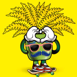 FernDaddy #3456