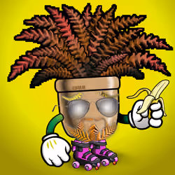FernDaddy #4570