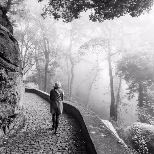 Into The Mist By Pelin Genc
