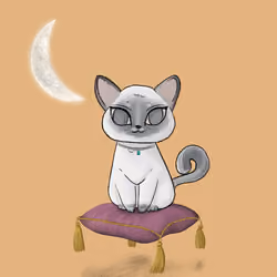 poco, the playful