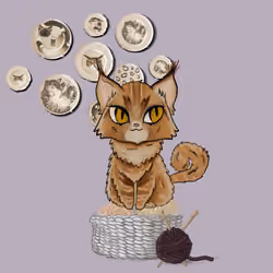 lil taro