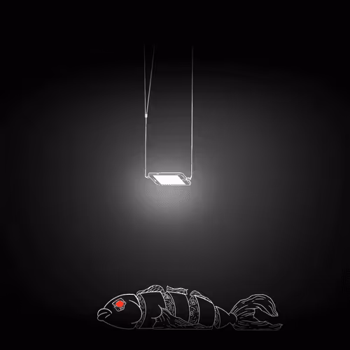 Item #64 Media