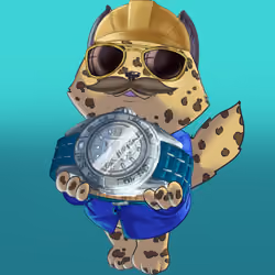 CAWS Timepiece #202