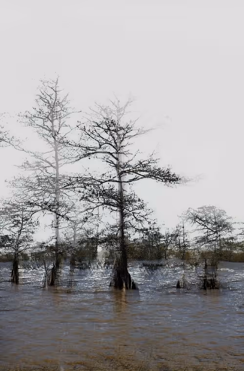 Item #32099334805983447258866551994105878902360061489704626123683001823138466386170 Media