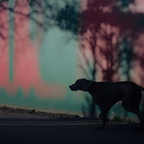 Coincidence and Imagination