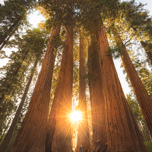 Earth Day Every Day