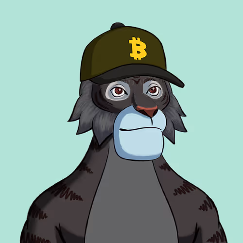 Tippin Tigers V2