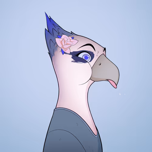 The Phoenixes