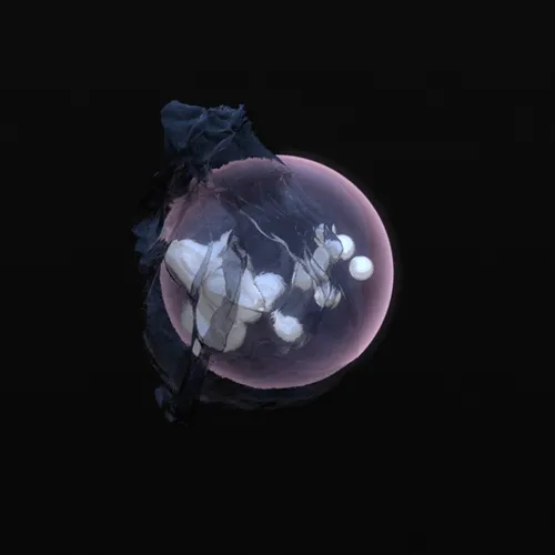 MetaStellar #80