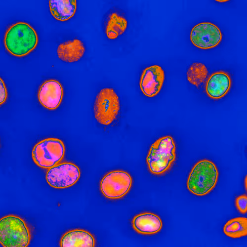 Desciworldmicrobes