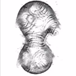 Blobology 