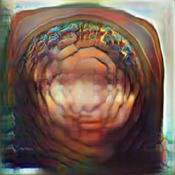 Magic Mushrooms