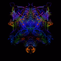 Molecules