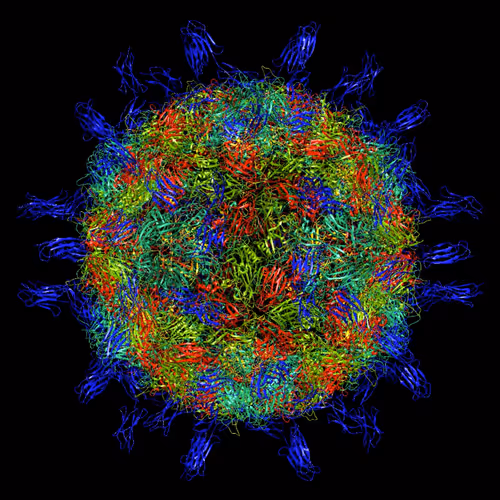 Desciworldmicrobes