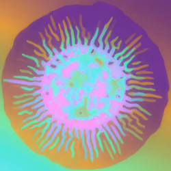 Mechanomorphogenesis 