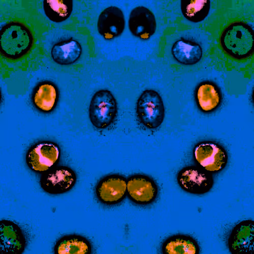 Desciworldmicrobes