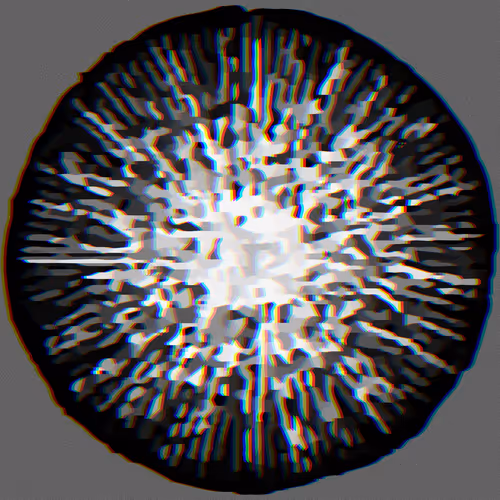 Desciworldmicrobes