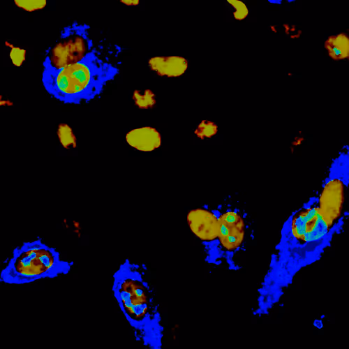 Desciworldmicrobes