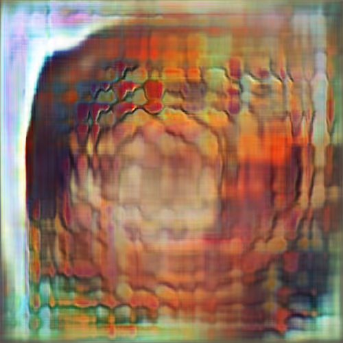 Magic Mushrooms