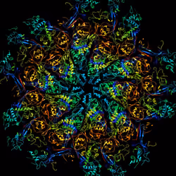 Molecules