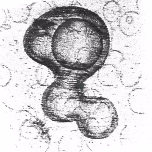 Desciworldmicrobes
