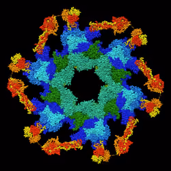 Molecules