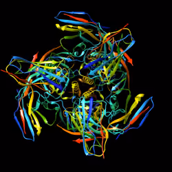 Molecules