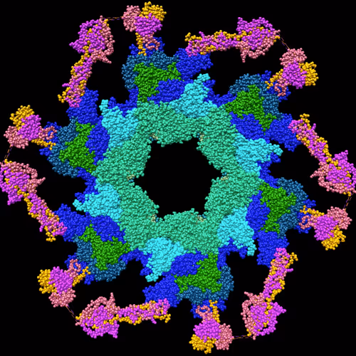Molecules