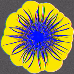 Mechanomorphogenesis 