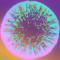 Mechanomorphogenesis 
