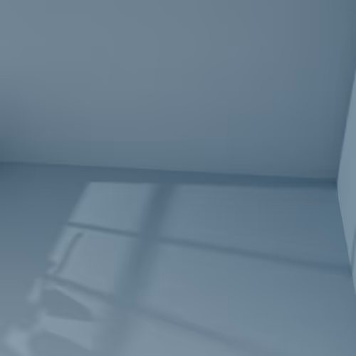 Item #20 Media