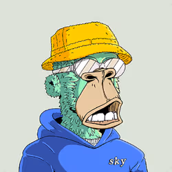 1234