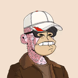966