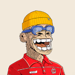 509