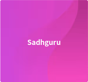 Item #50181217001662665122924169310042096796730918482716543663918957812449064605499 Media