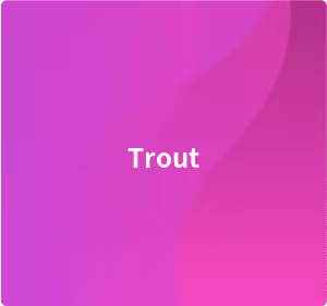 Item #19642496441344807184713721537989126433475781748939923751393891108121730503243 Media