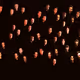 39
