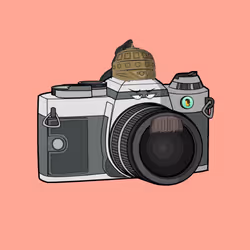 82