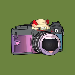 50