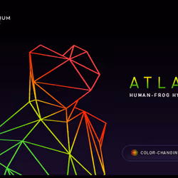 Atlas