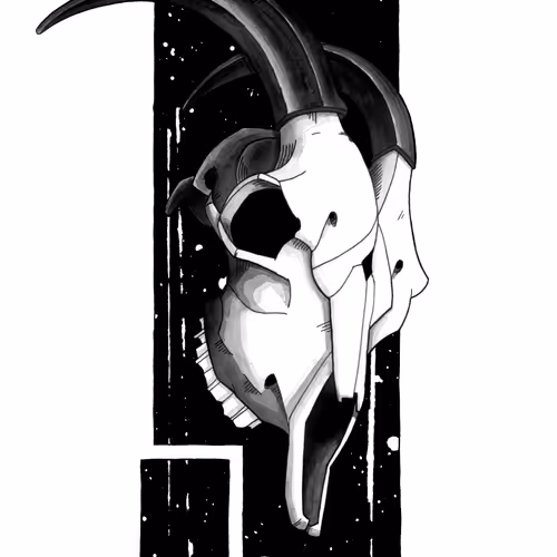 Goat Skull Study