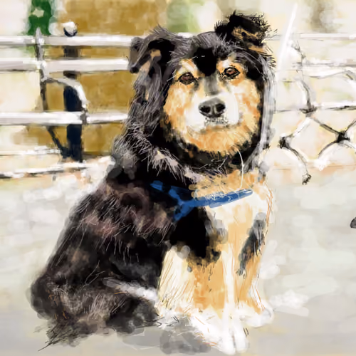 Suki